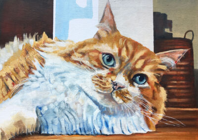 farnham animal artist cat portrait