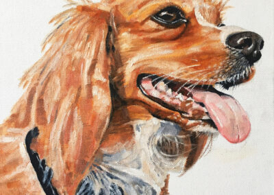 farnham animal artist dog portrait