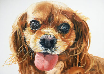 farnham animal artist dog portrait